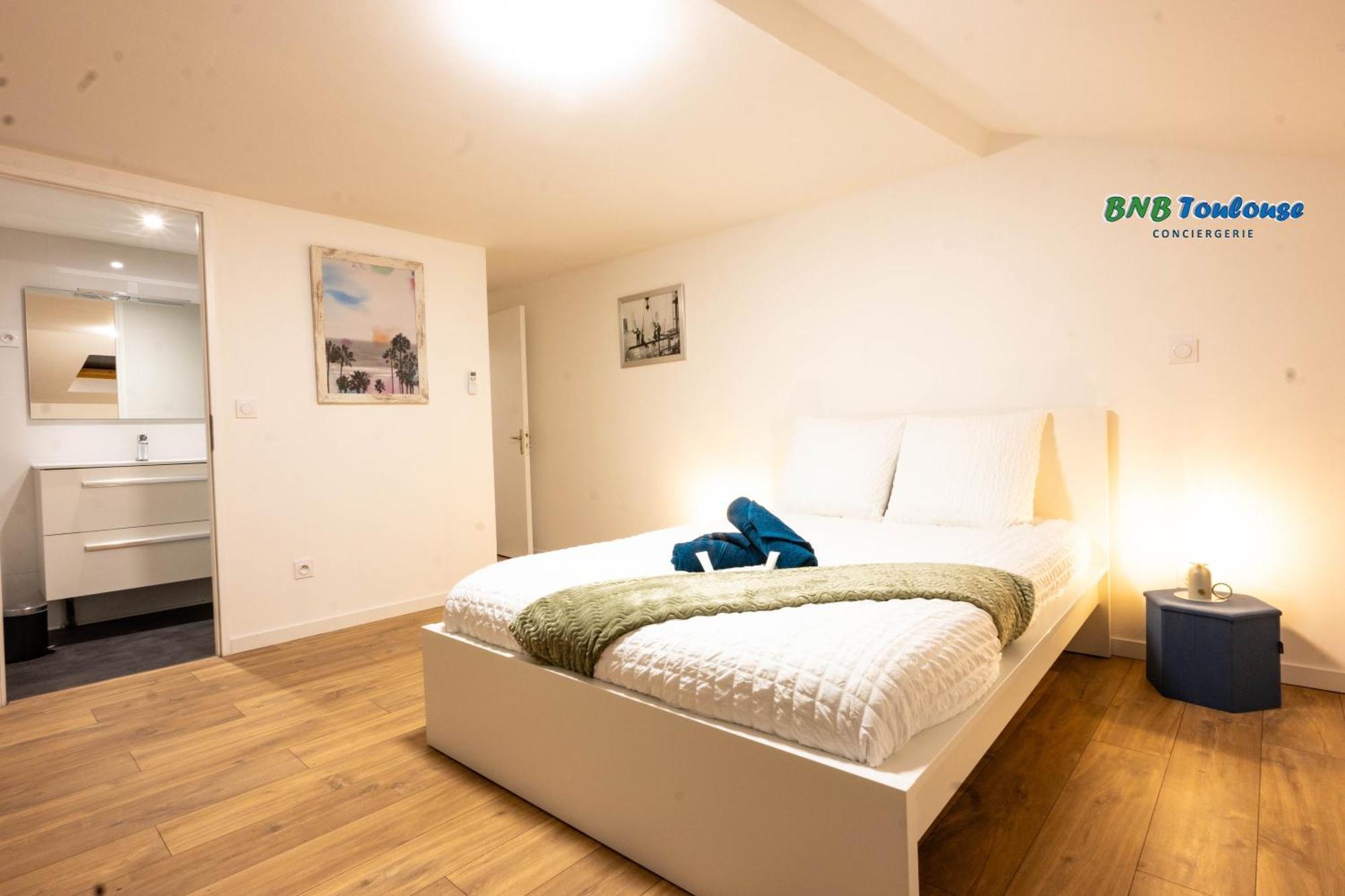 Appartamento Bnb Toulouse - Le Gaston Douillet - Clim - Wifi - Plein Centre