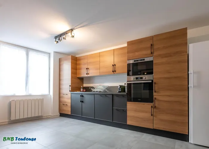 Bnb Toulouse - Le Gaston Douillet - Clim - Wifi - Plein Centre