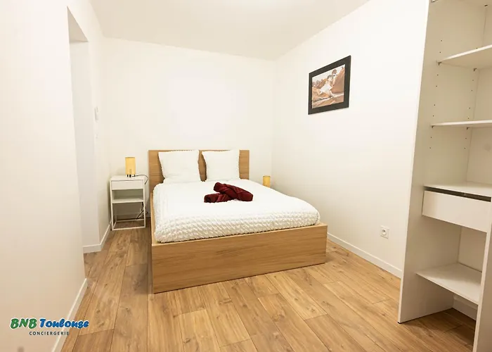 Bnb Toulouse - Le Gaston Douillet - Clim - Wifi - Plein Centre