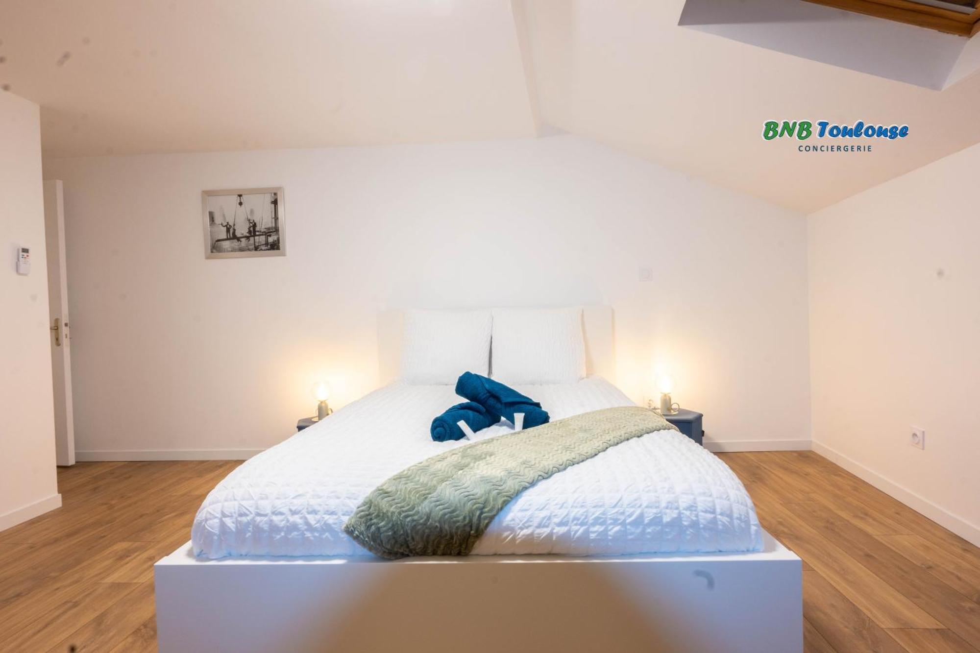 Bnb Toulouse - Le Gaston Douillet - Clim - Wifi - Plein Centre *